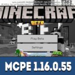 Майнкрафт ПЕ 1.16.0.55