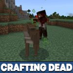 Создание мертвого мода для Minecraft PE