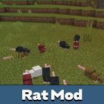Мод на крысу для Minecraft PE