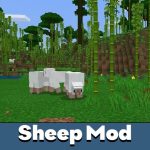 Мод на овец для Minecraft PE